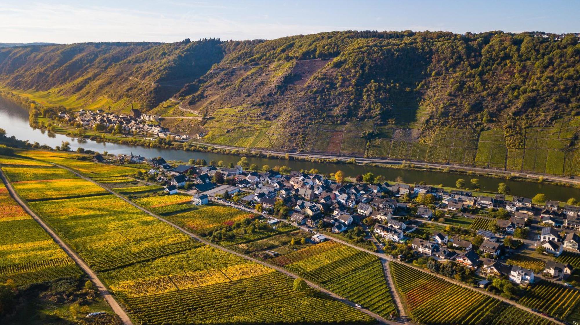 Ferienwohnung Ferienweingut Gansen / Hochgenuss 1 Ernst Exterior foto